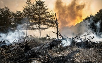 Оценка ущерба после стихийного бедствия в Ростове-на-Дону: отчет оценщика